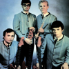 The Trashmen