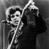 Don McLean