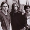 The Lemonheads