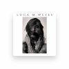 Luca M. Wefes