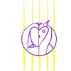 owlneverdie