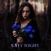 Katy Night
