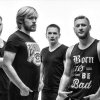 Vidverto