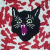 Бродячие коты