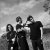  The XX
