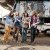  The Sheepdogs