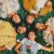  MisterWives