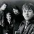  The Animals