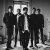  Foals