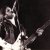  Lemmy