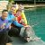  The Wiggles