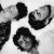  Yeasayer