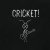  Cricket!