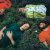  Animal Collective