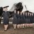  The D-Day Darlings