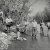  Hogslop String Band