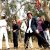  Electric 6